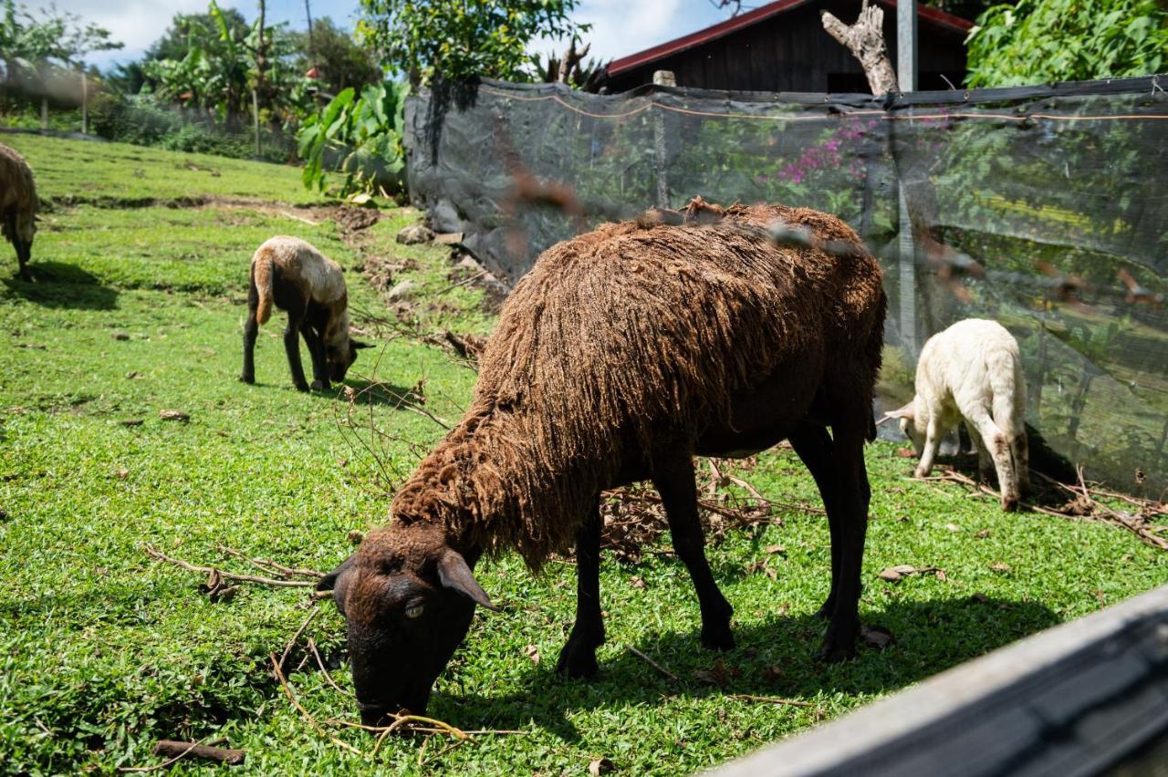 Hotel & Spa Escondite De La Montana Sabana Redonda Eksteriør bilde